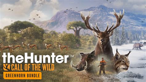  The Call of the Wild - Eine epische Tiergeschichte voller Abenteuer und wilder Romantik!